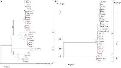 Antibiotic resistance and pathogenicity assessment of various Gardnerella sp. strains in local China